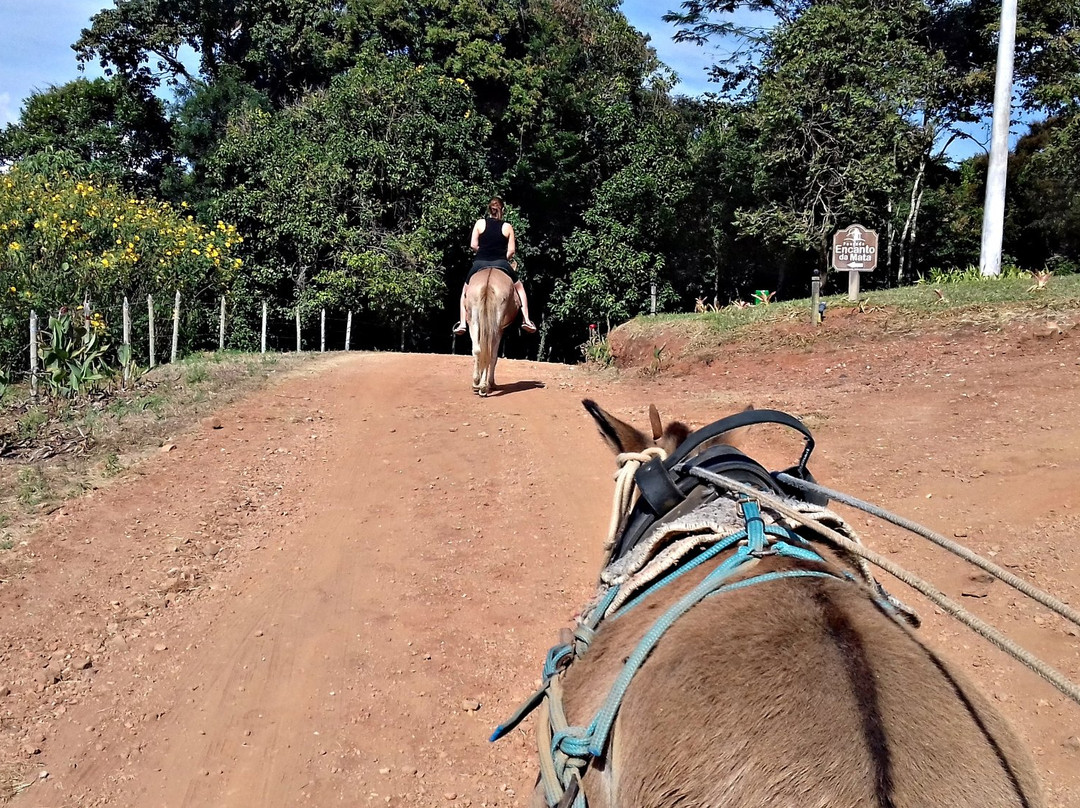 Pousada Encanto da Mata主图