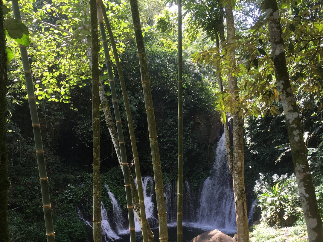 Ciblungan Waterfall景点图片