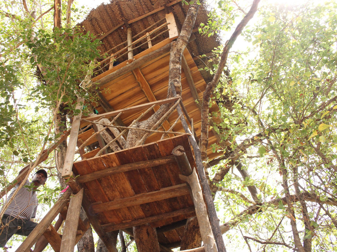 锡吉里亚安亚拉森林酒店主图