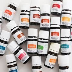 Harbor Tea & Spice-朱诺必去景点