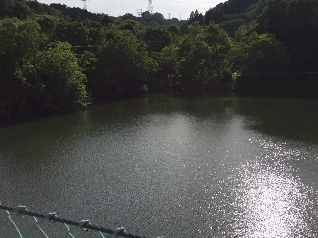 Tokkuri Lake景点图片