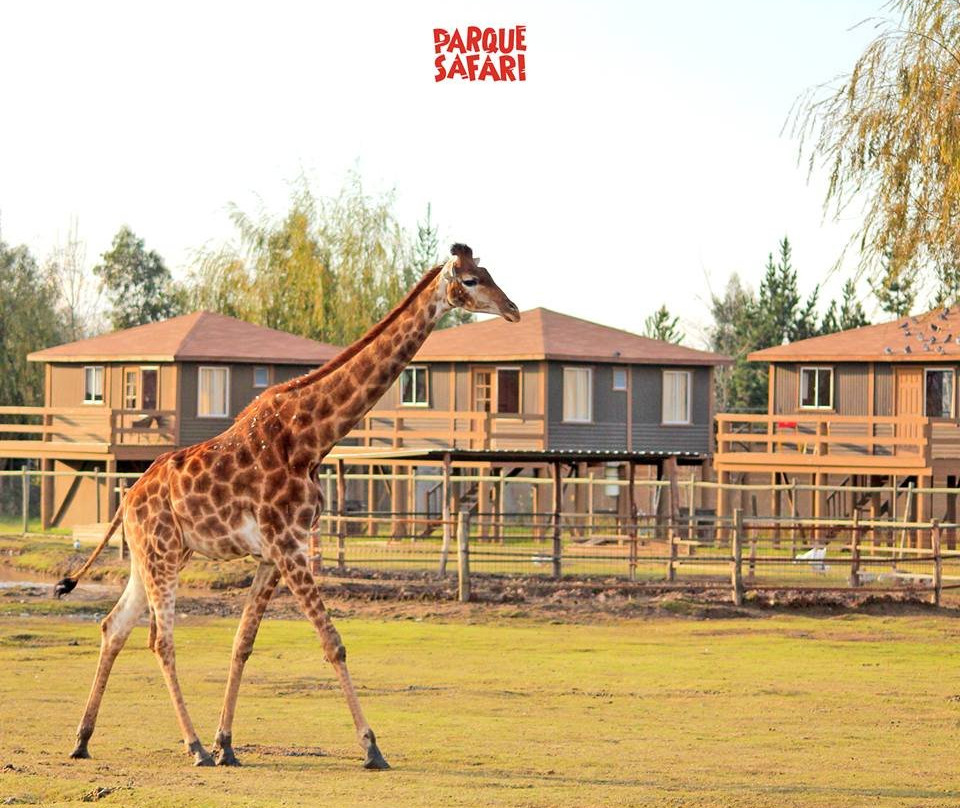 Safari Lodge