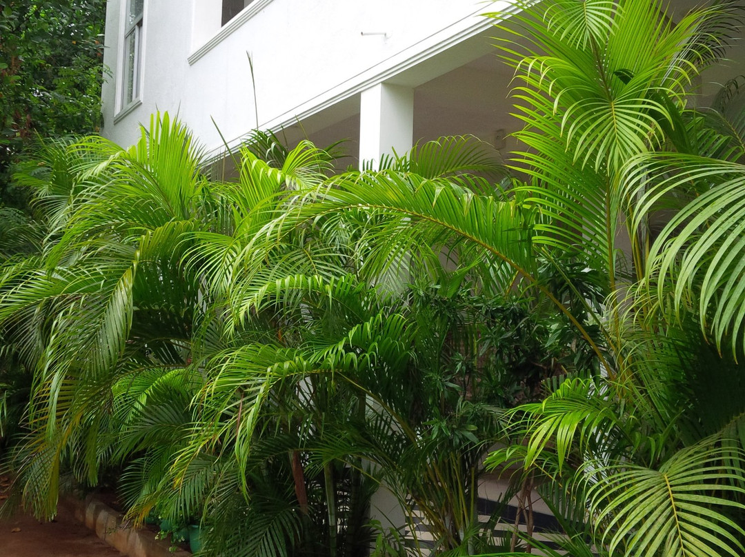 Dad's Holiday Home主图