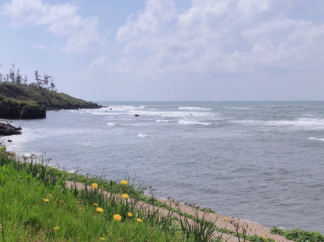 Mikunicho Seaside Nature Park景点图片