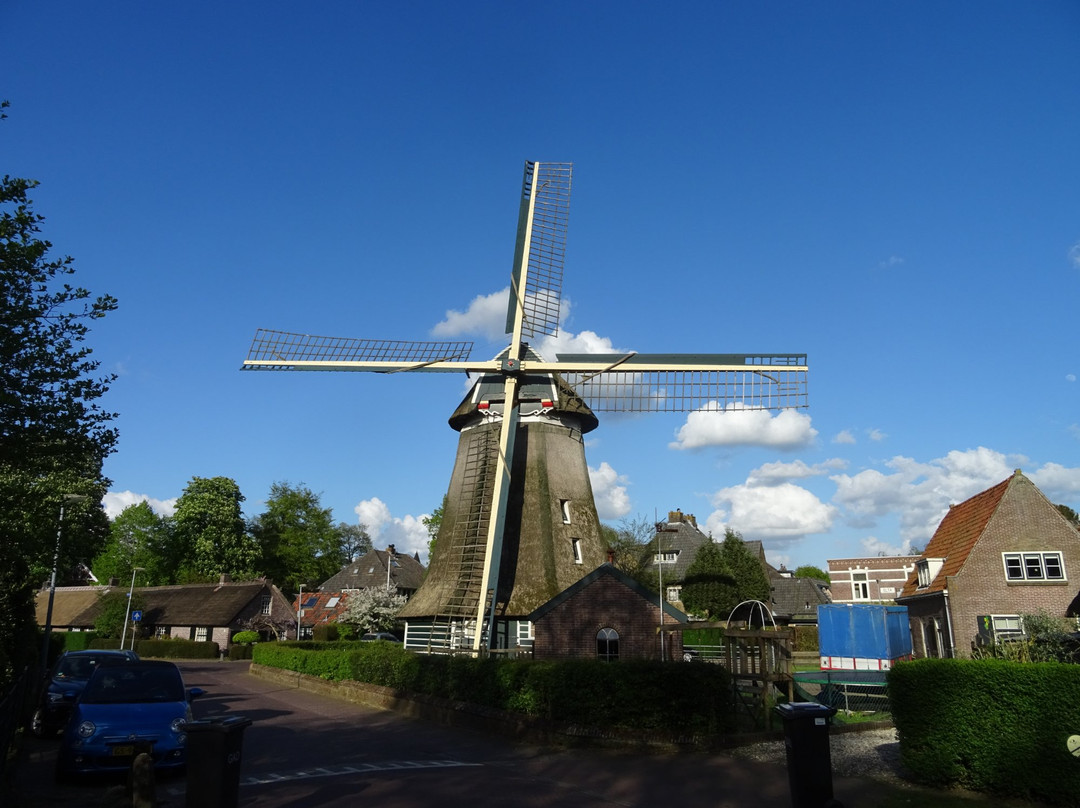 De Molen van Laren景点图片