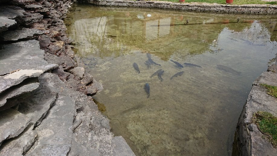 Hotel-Villa Oazis主图