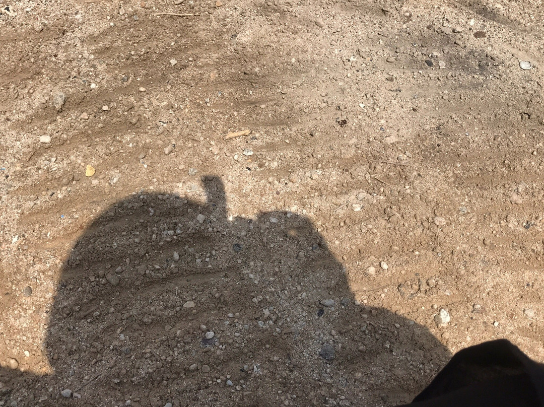 Wadi Al-Salaam Cemetery-Najaf必去景点