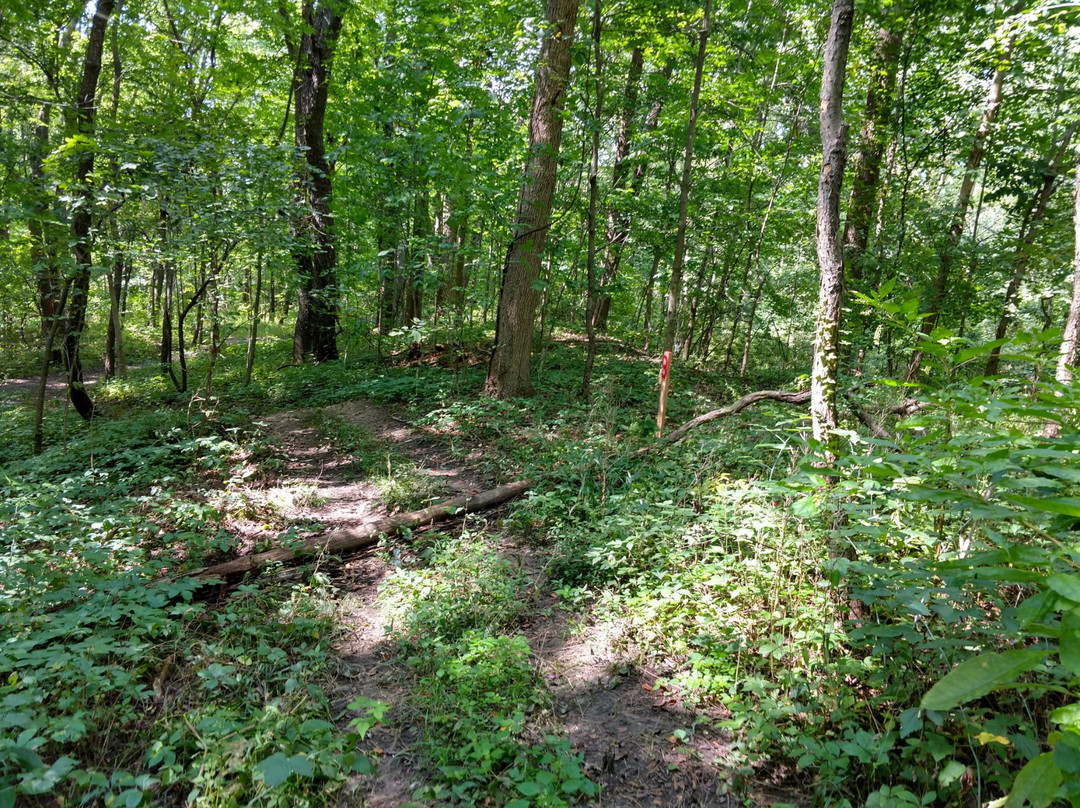 DarkFire Airsoft-Coldwater必去景点