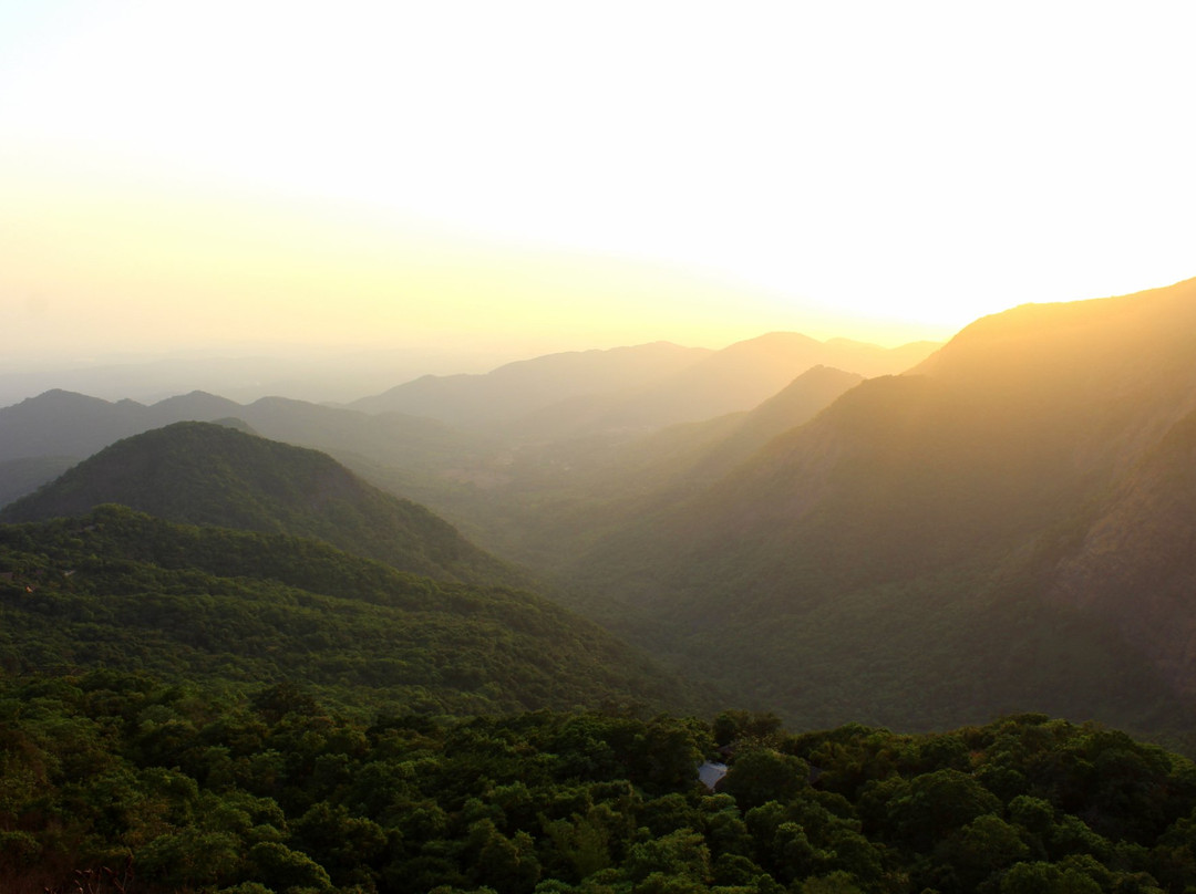 Wildernest Nature Resort主图