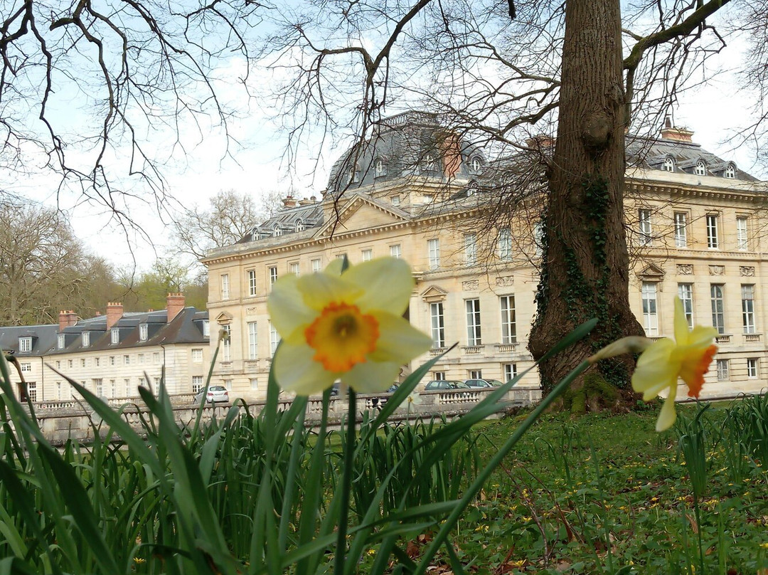 Château du Marais景点图片