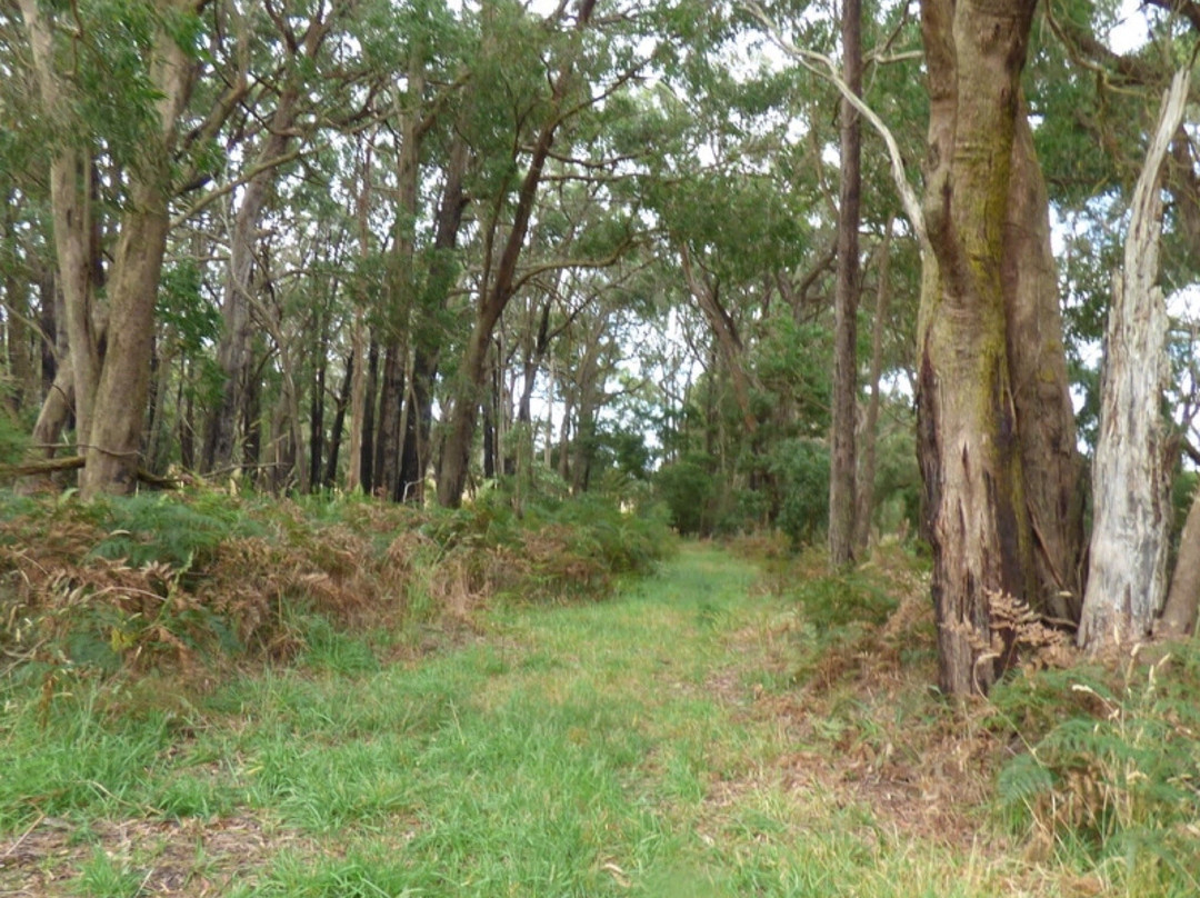 Barongarook Conservation Reserve-科拉克必去景点