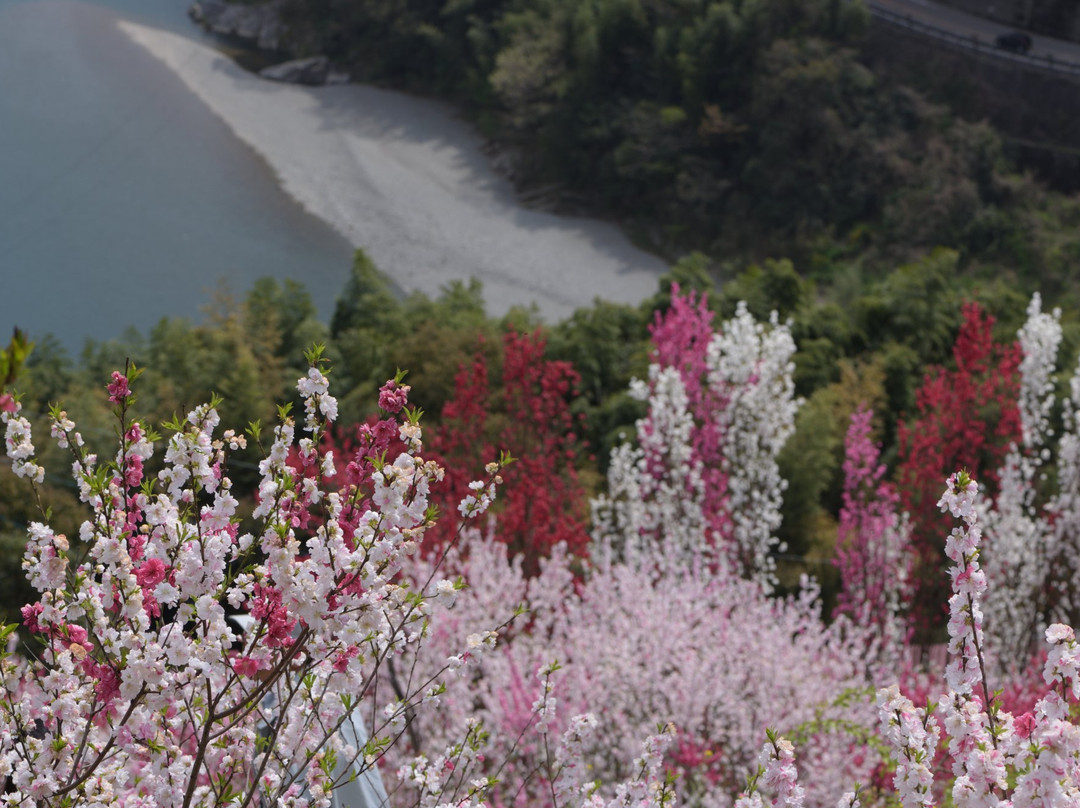 Hananosato Park-仁淀川町必去景点