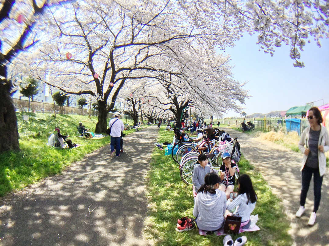 Kiyose Seseragi Park-清濑市必去景点