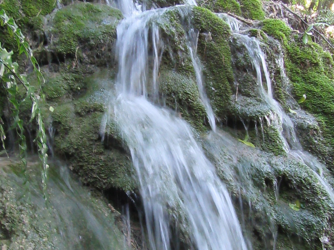 Whispering Falls景点图片