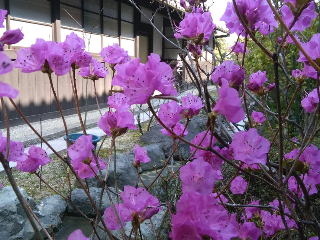 Sankogan Museum of Pharmacy景点图片