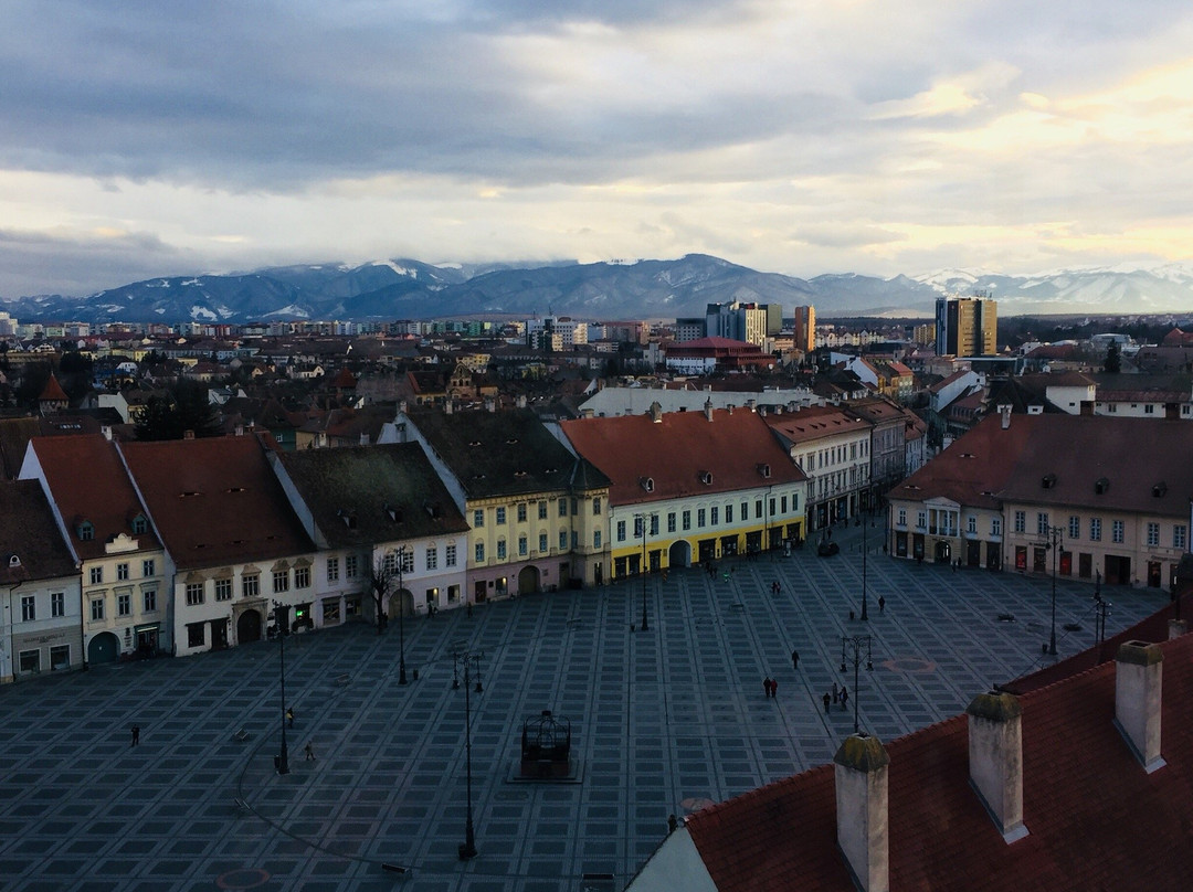 True Romania Tours景点图片