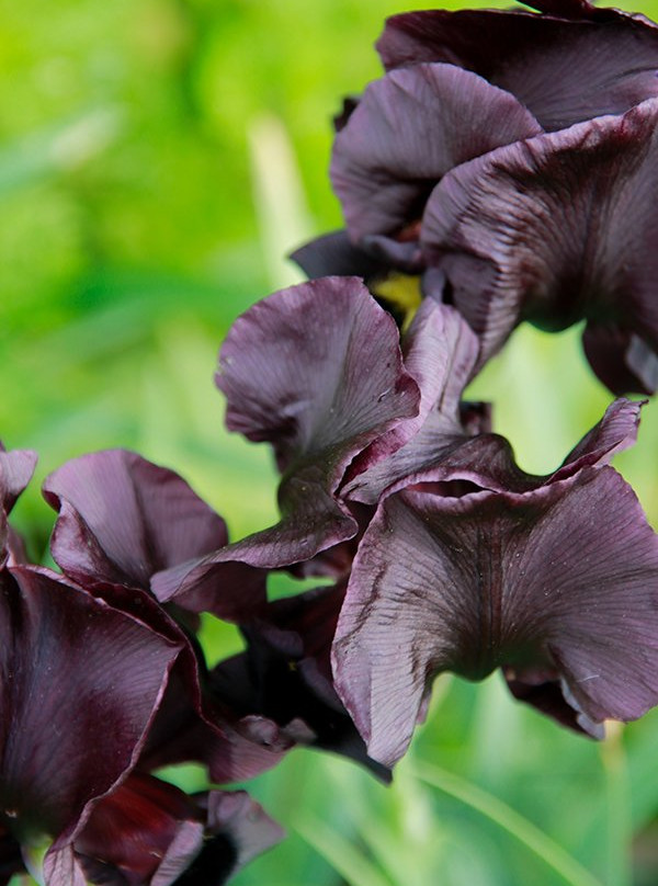 Planetanya Netanya Israel-Netanya必去景点