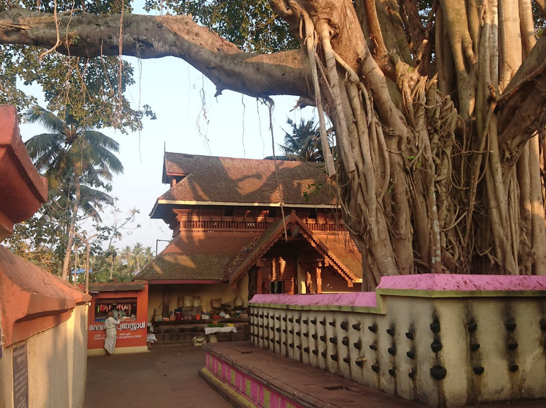Janardhana Swami Temple景点图片