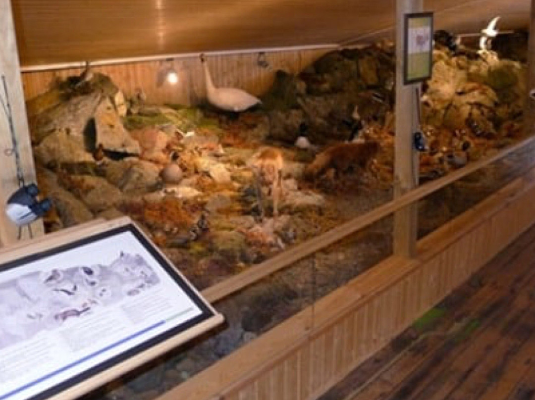 Museum of Natural History-内斯克伊斯塔泽必去景点