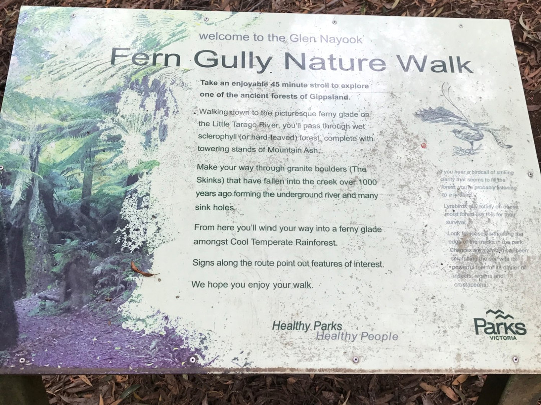 Piedmont旅游景点-Glen Nayook Reserve