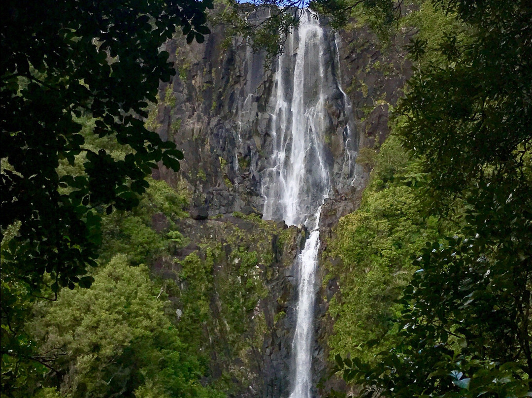 Okauia旅游攻略图片