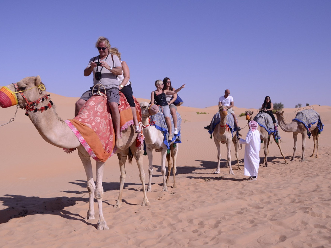 Arab Land Adventure Tourism景点图片