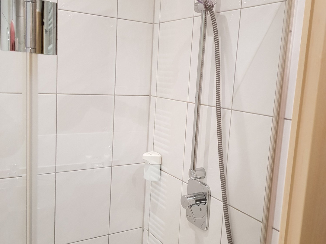 Hotel Goldener Pflug主图