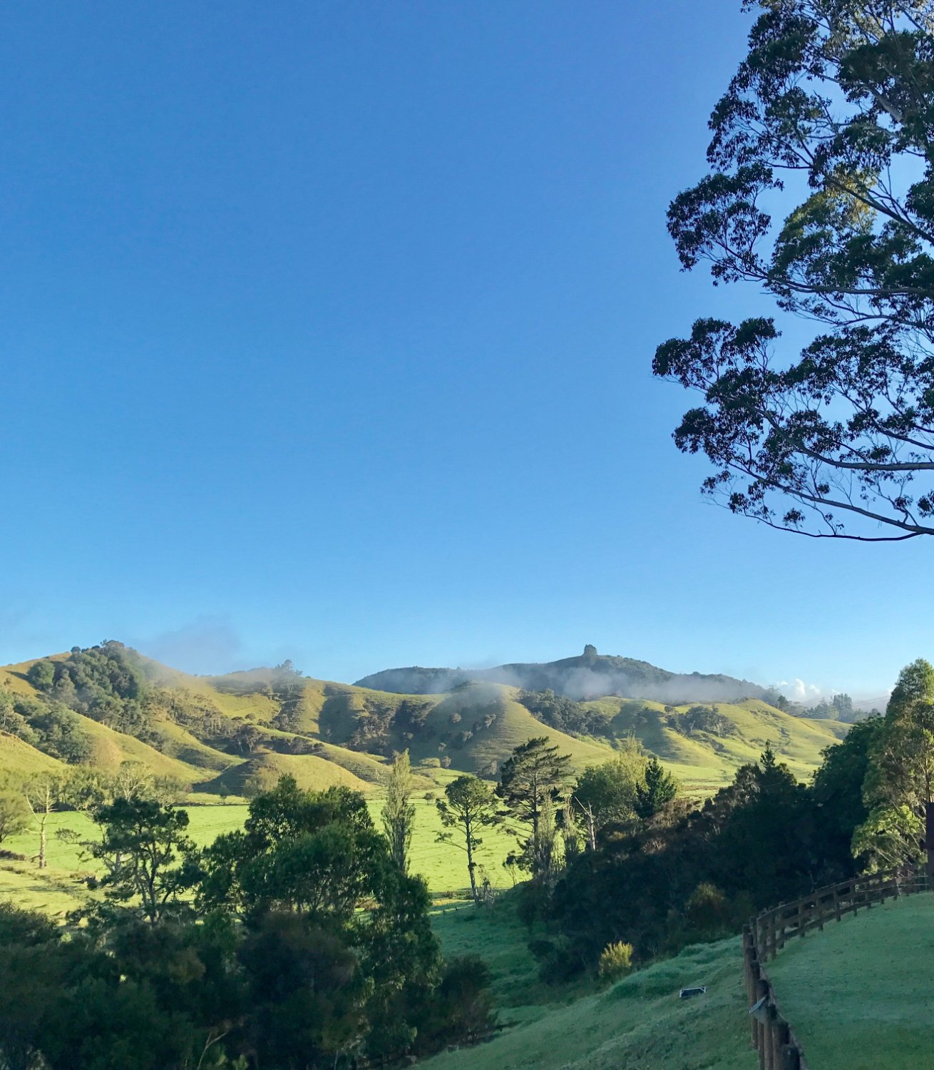 Coastal Chalet Suites Whangaroa-酒店景观