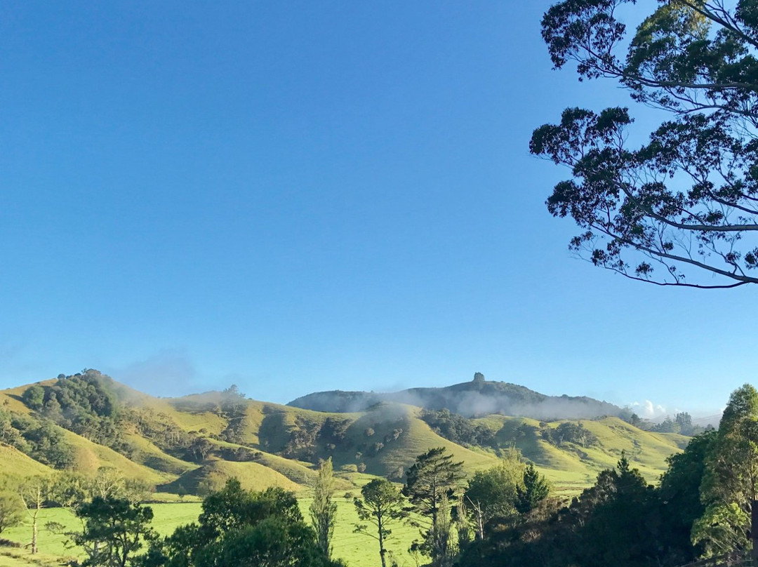 Coastal Chalet Suites Whangaroa主图