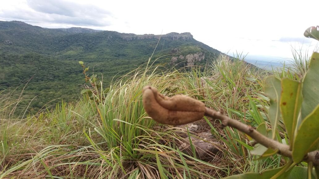 Valle De Tucabaca景点图片