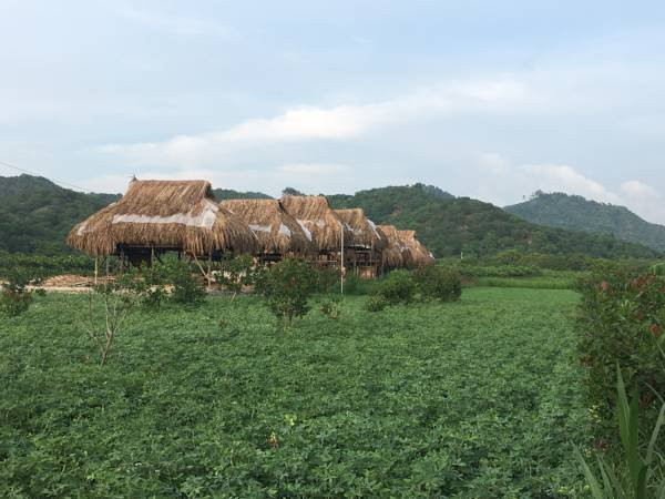 Sunny Field Eco Stilt House