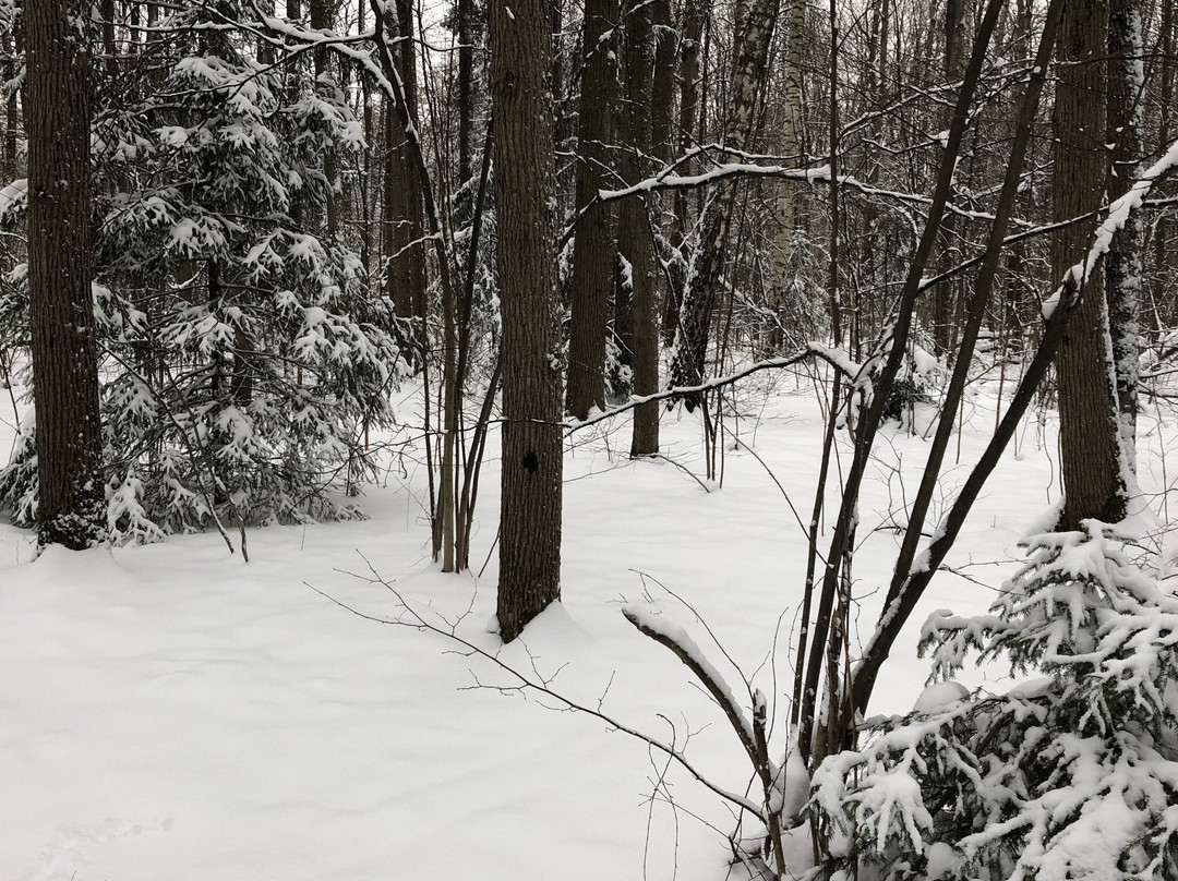 Sport Club Alfa-Bittsa-莫斯科必去景点