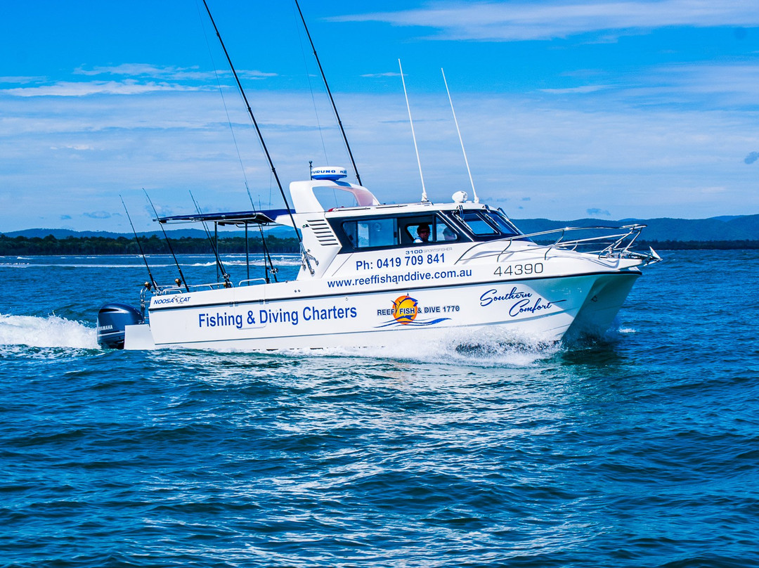 Reef Fish & Dive 1770-Agnes Water必去景点