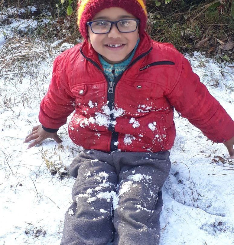 Hotel Pangot Himalayan View主图