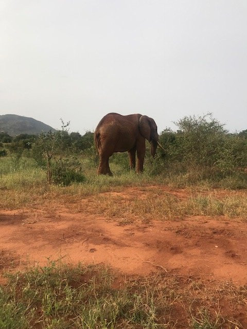 天蝎座别墅酒店主图