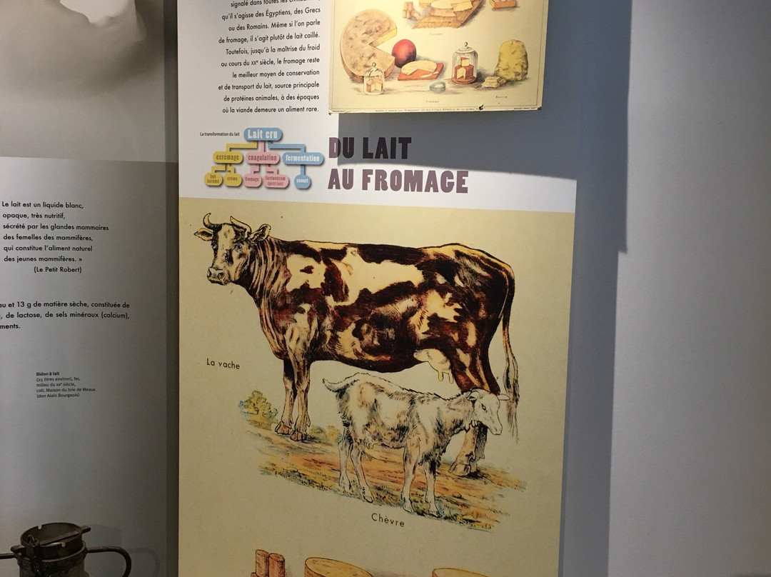 Maison du Brie de Meaux-莫城必去景点