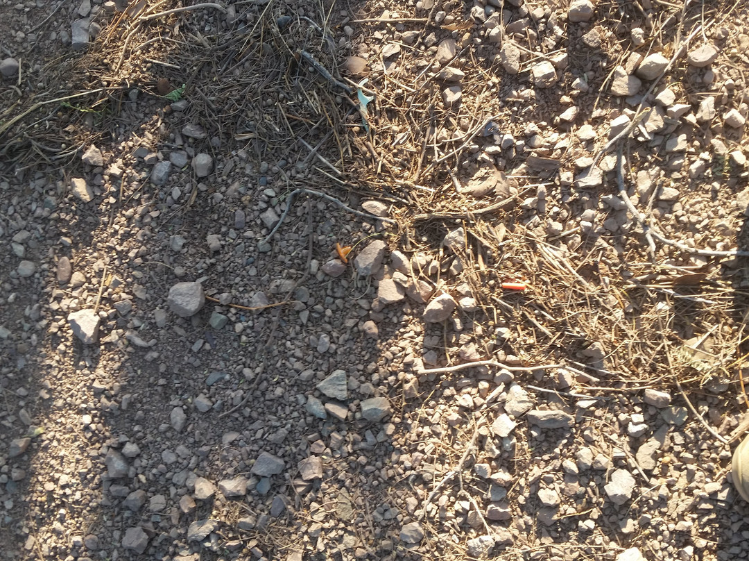 Papago Park-坦佩必去景点