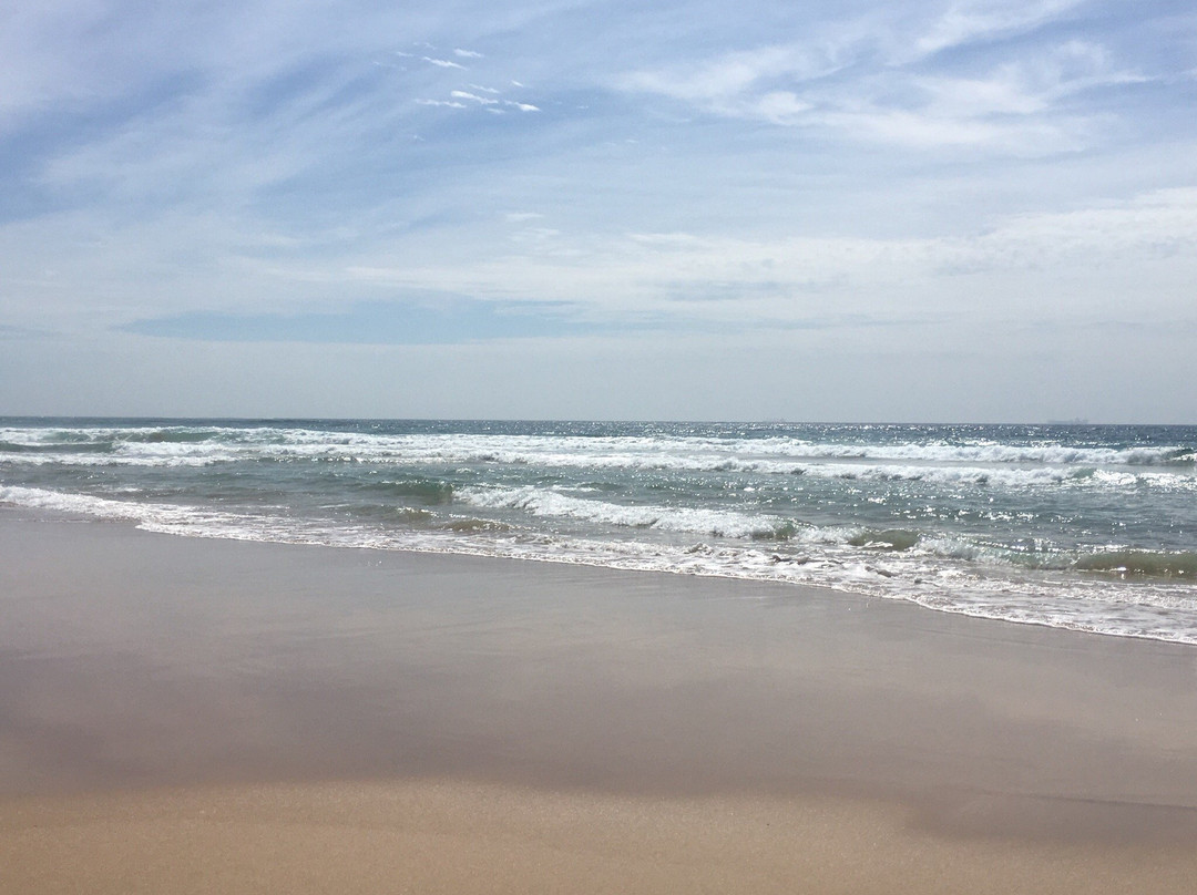 Towradgi Beach Park-卧龙岗市必去景点