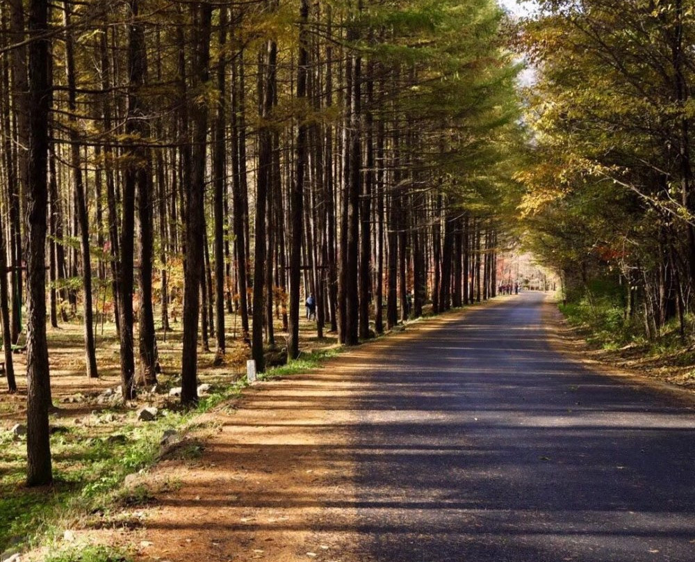 蒲石河森林公园-凤城市必去景点