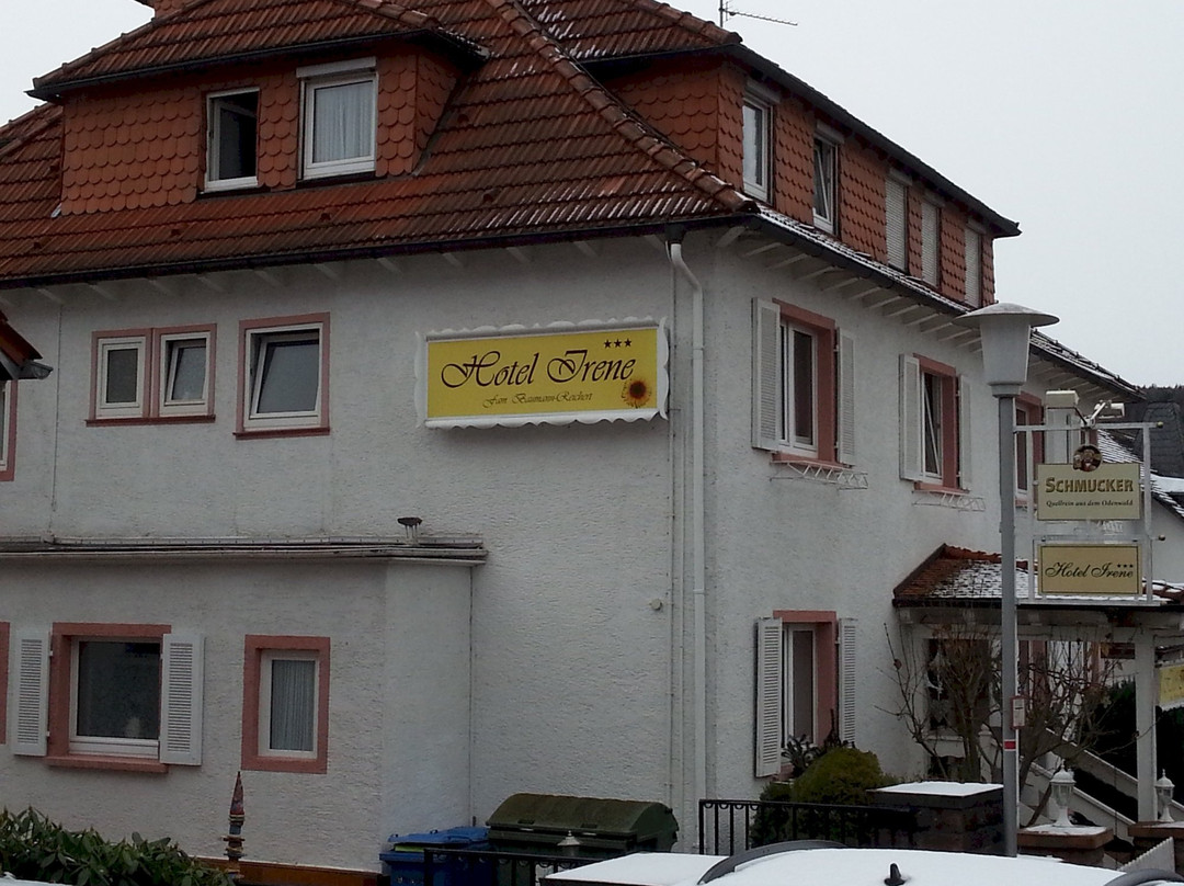 Hotel Irene