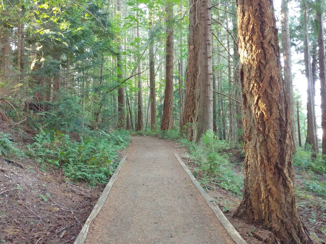 Fillongley Provincial Park景点图片