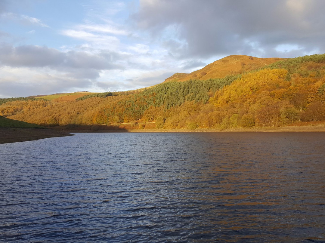 Ladybower Fisheries景点图片