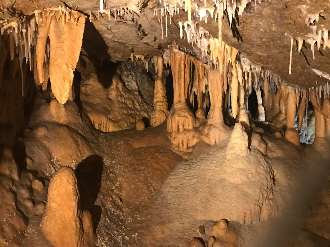 Lakes Mini Bus Charter & Tours-莱克斯恩特伦斯必去景点