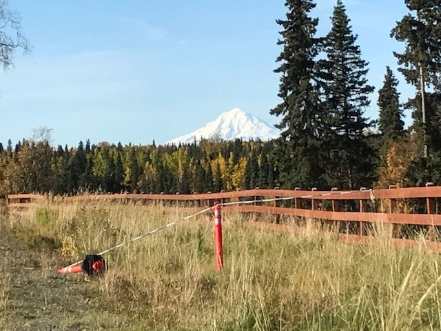 Centennial Park-索尔多特纳必去景点