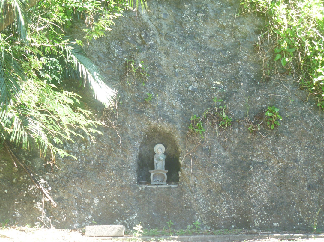 Mt. Shokensaki-小笠原村必去景点