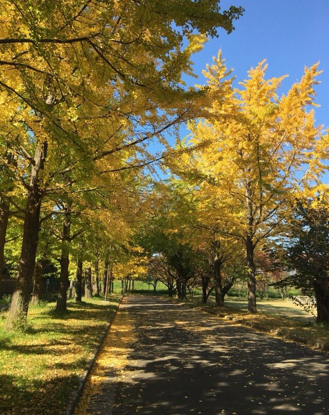Kawagoe Aquatic Park-川越市必去景点