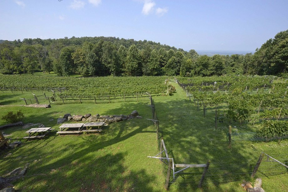 Twin Oaks Tavern Winery景点图片