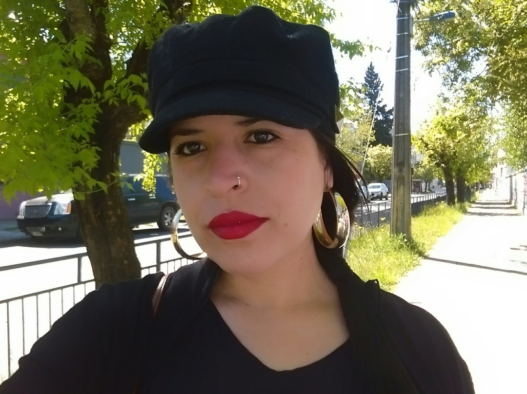 Museo Claudio Arrau Leon-奇廉必去景点