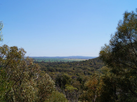 Ben Hall's Cave-Grenfell必去景点