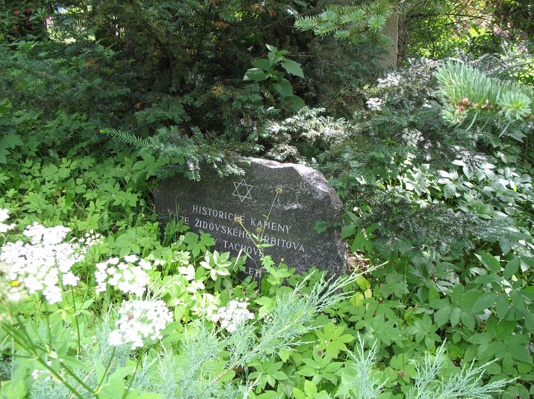 Old Jewish Cemetery Drmoul景点图片